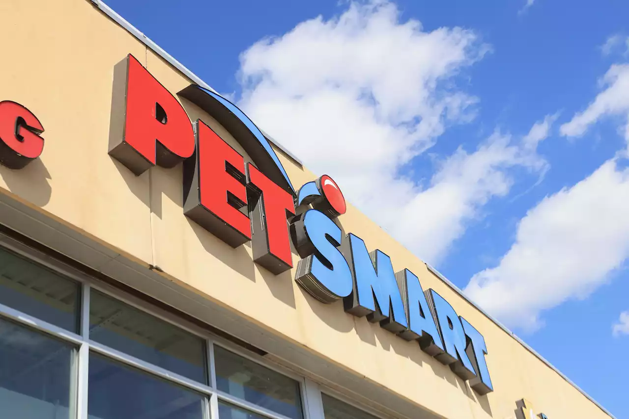 PetSmart faces boycott calls over pride collection: 'Unacceptable'