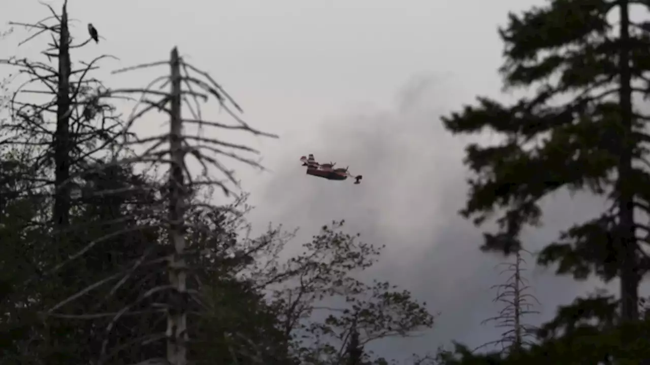 N.L. sends water bombers to help fight Nova Scotia wildfires