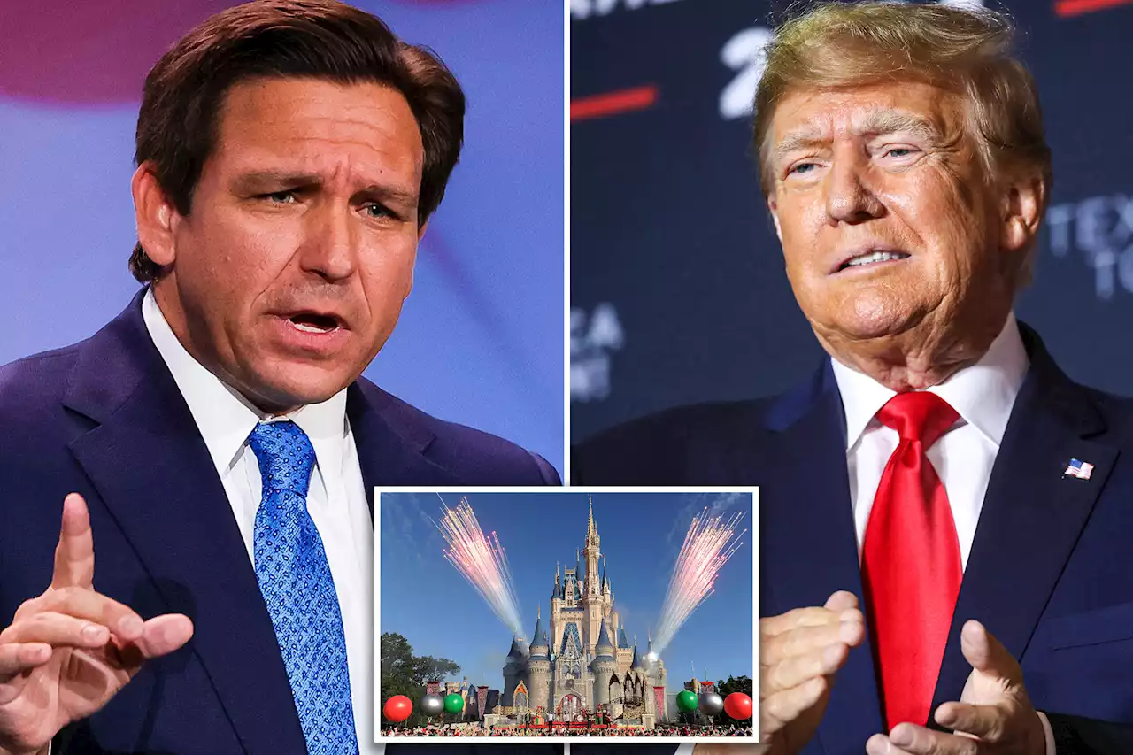 Don, DeSantis and Disney: Presidential candidates trade barbs over theme park support