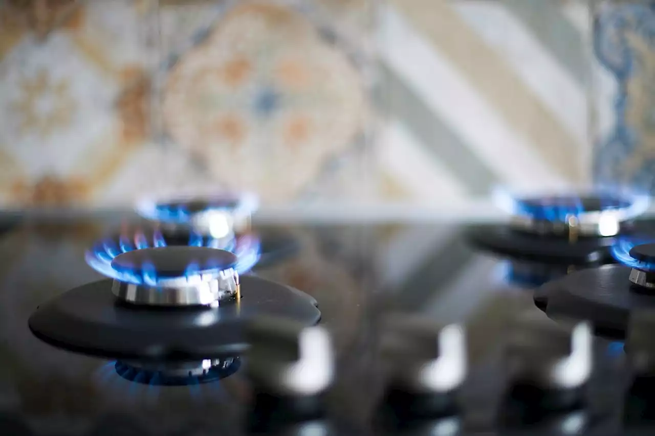 Vancouver councillor wants to ban natural gas stoves and fireplaces