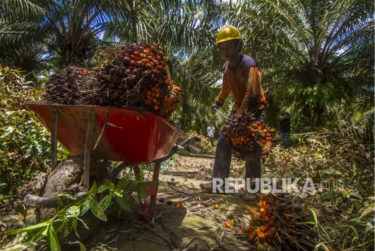 Investasi Masuk di Kalsel Ditarget Rp 12,5 Triliun pada 2023 |Republika Online