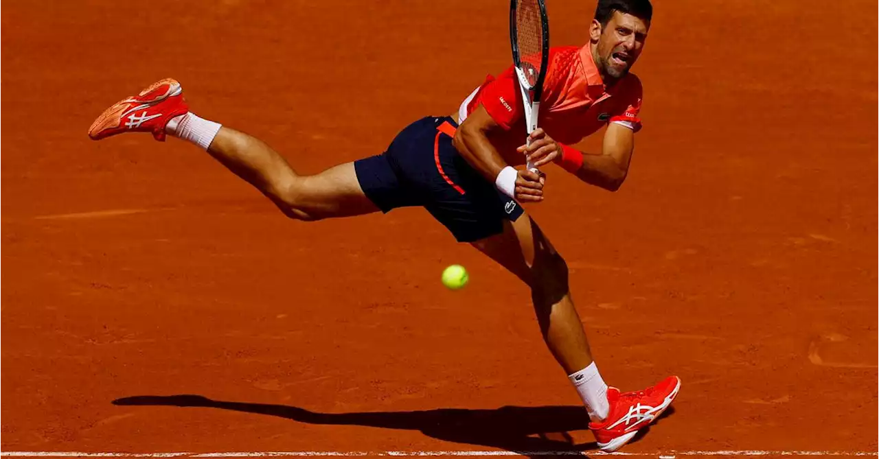 Djokovic, Alcaraz cruise at French Open as Stephens lays down marker