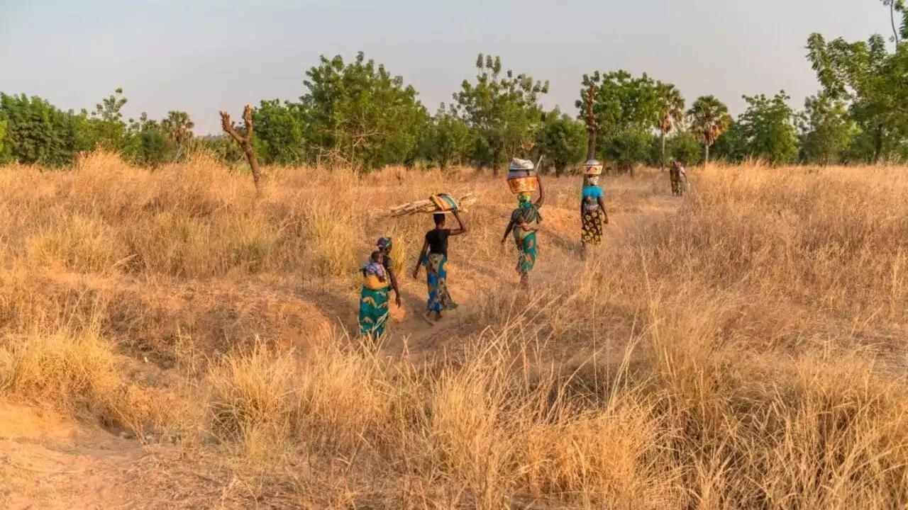 Togo: la situation sécuritaire dans la région des Savanes s'est dégradée début 2023