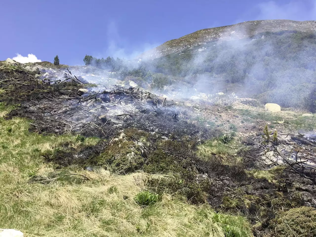 Wiesland durch Feuer zerstört - Schweizer Bauer