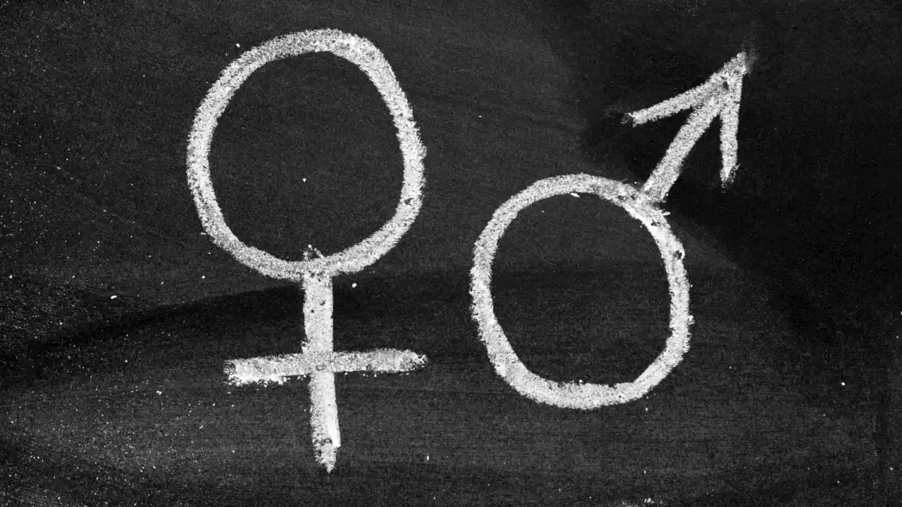 ‘Simply wrong’ to ask youngsters leading questions about gender