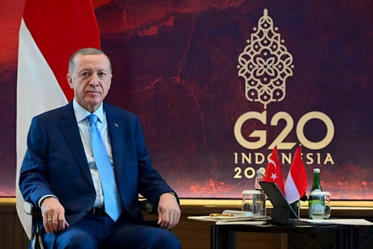 Presiden Petahana Erdogan Klaim Menang Besar Pilpres Turki Putaran Kedua