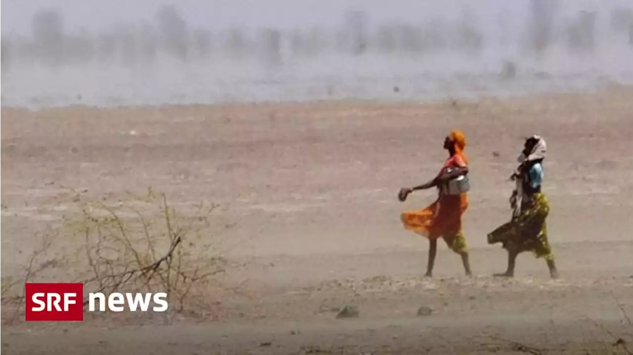 Alarmierende Studie - Klimawandel bringt jedem Dritten unmenschliche Temperaturen