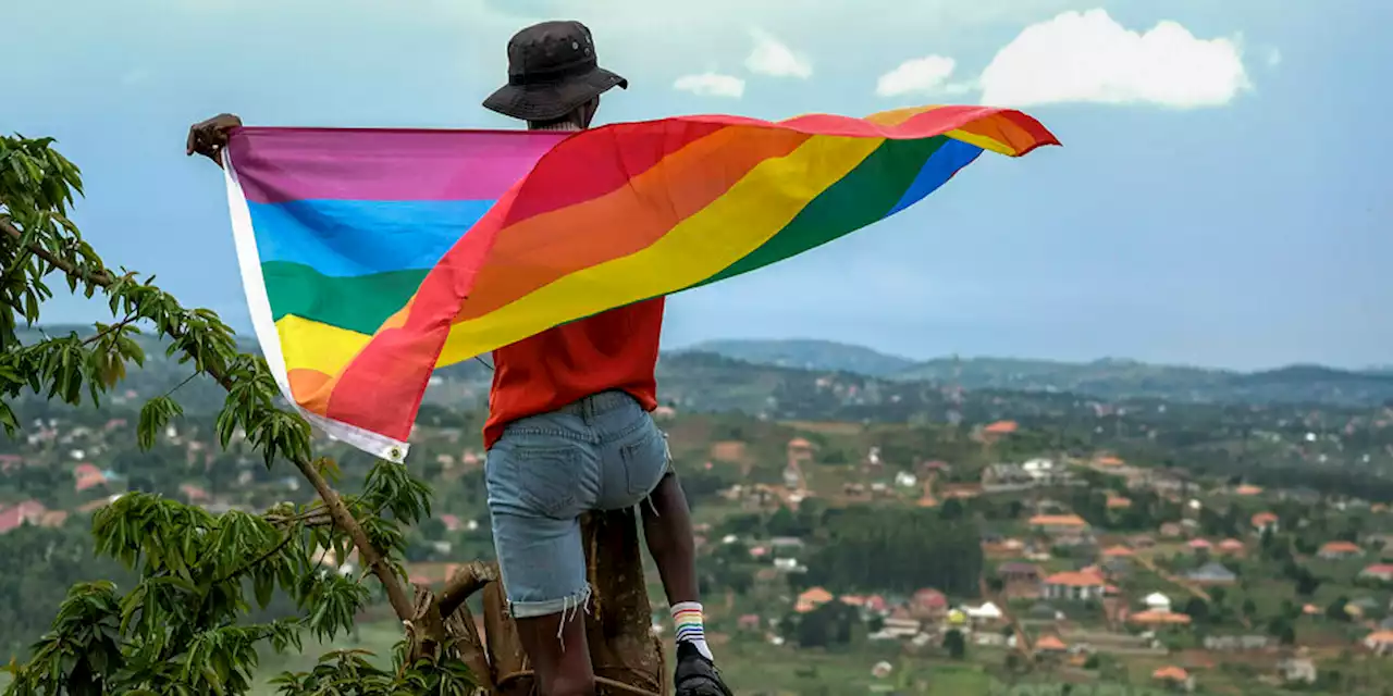 LGBTQI-feindliches Gesetz in Uganda: Ende des Regenbogens