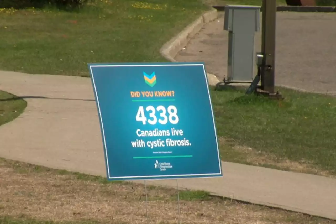 Residents walk to make Cystic Fibrosis history