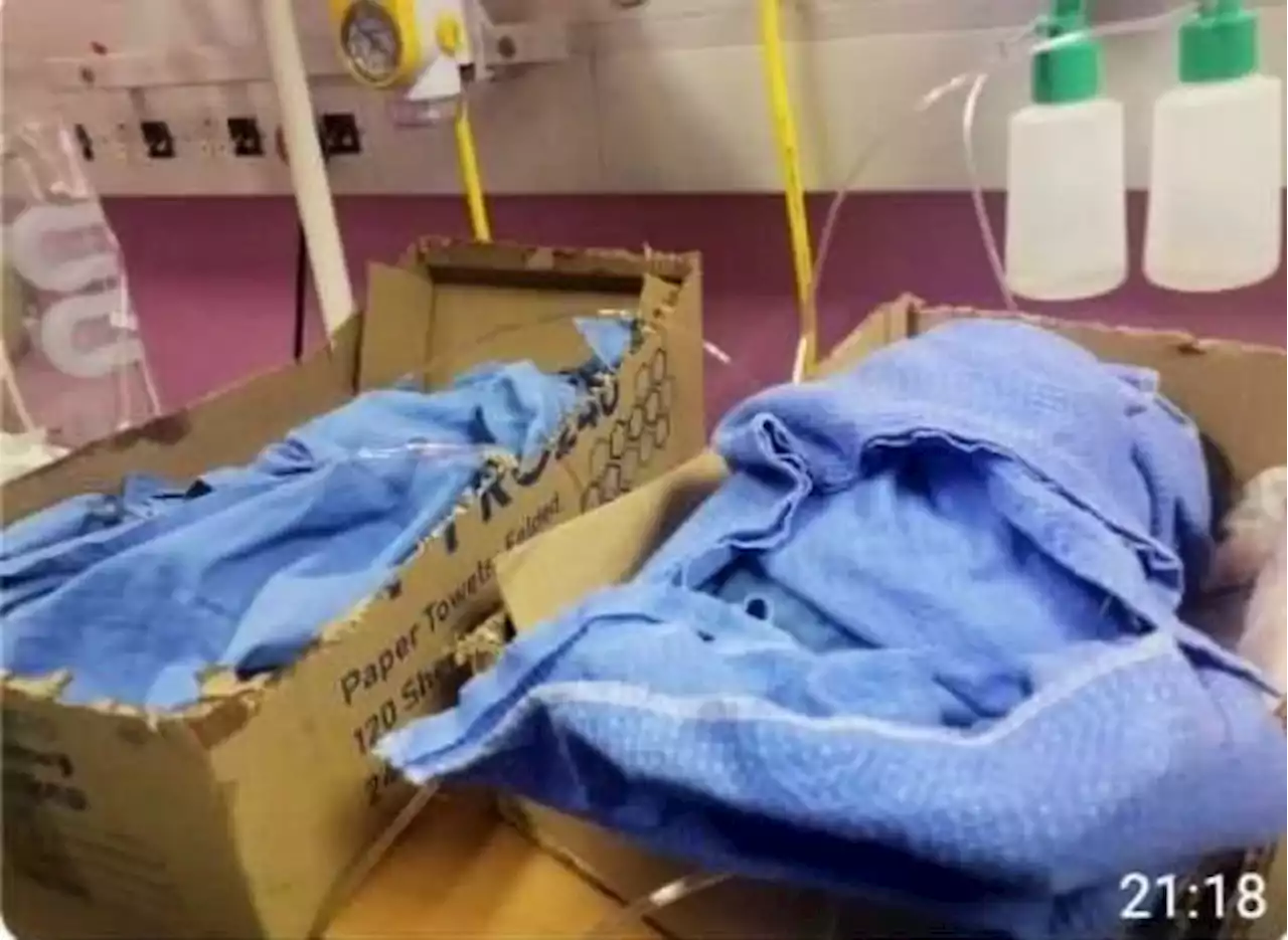 Newborns in cardboard boxes: North West Health MEC blames nurses | The Citizen