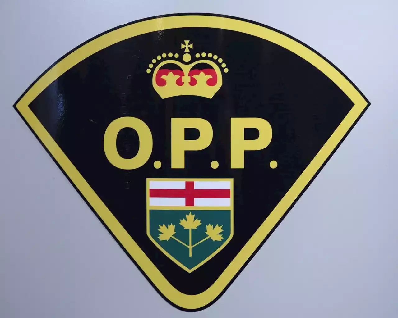 OPP officer and school bus driver die in crash northwest of Woodstock, police say