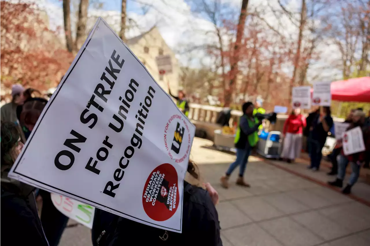 One Small Union Is Stoking Much of the Militant New Graduate Worker Organizing