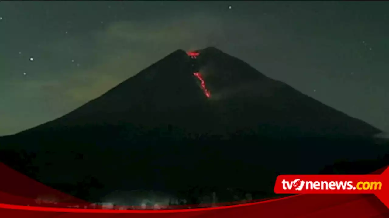 Gunung Semeru Semburkan Guguran Lava Pijar Sejauh 2 Kilometer, Ini Himbauan PVMBG