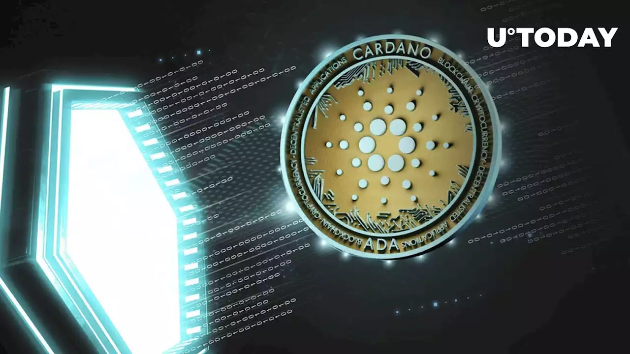 3 Million Cardano (ADA) Addresses in Losses, Here's What Indicators Suggest