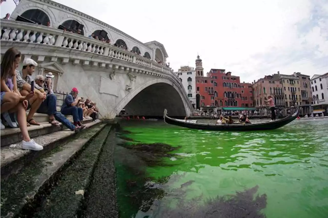 Video: El agua del Gran Canal de Venecia se tiñe de un misterioso verde fluorescente