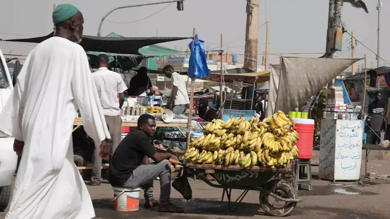 Badan-badan PBB Peringatkan Risiko Kelaparan di Sudan, Haiti, Burkina Faso, dan Mali