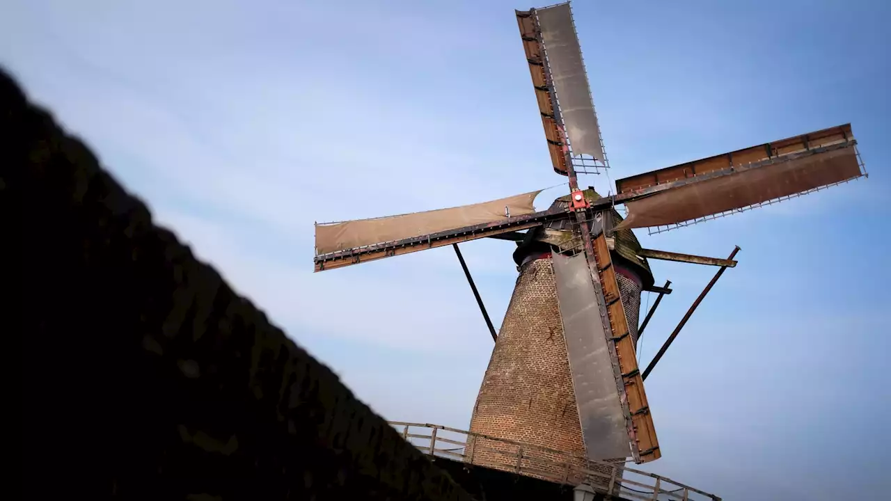 Mühlentag in NRW: Pfingstausflug zu historischen Mühlen