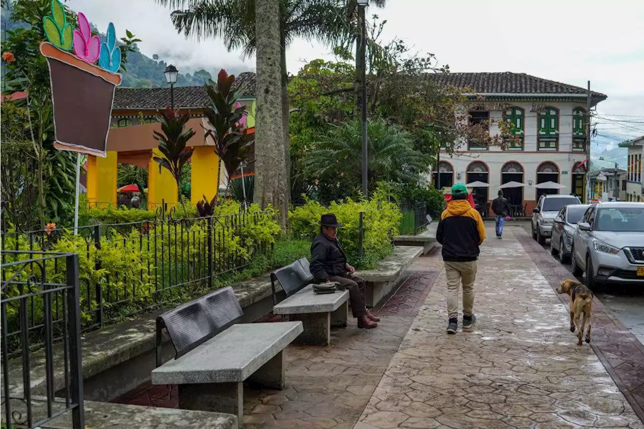 Defensoría del Pueblo: 300 personas desaparecen anualmente en el Eje Cafetero y en Valle