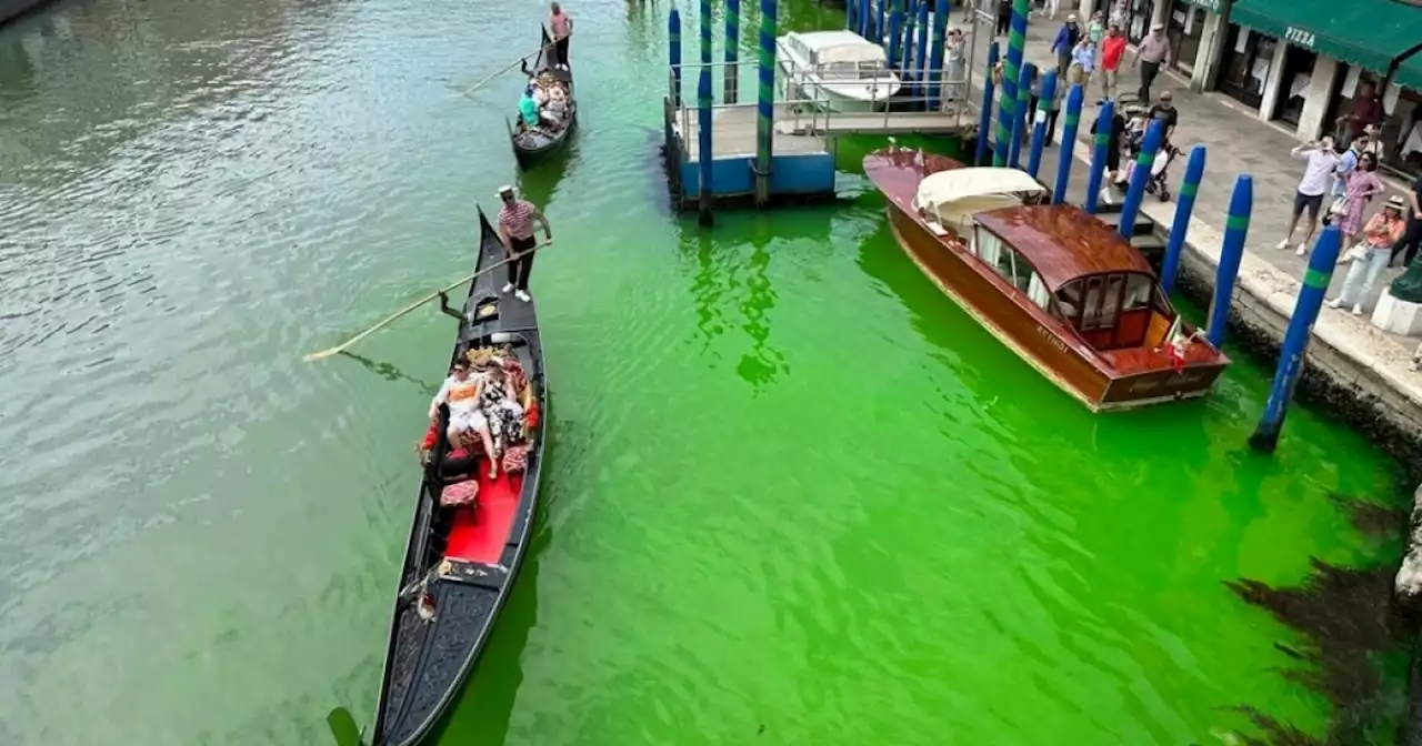 Officials investigate Venice's Grand Canal water turning bright green