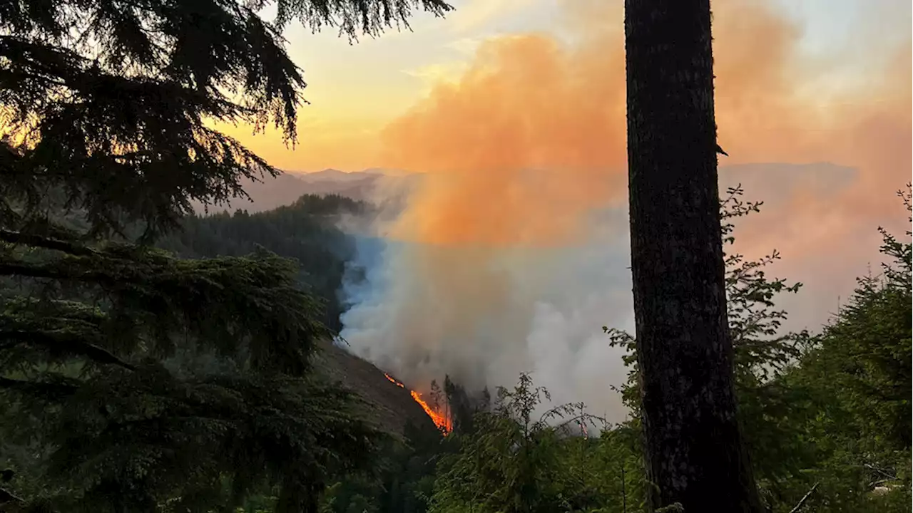 Firefighters make progress containing 300-acre wildfire burning in Oregon