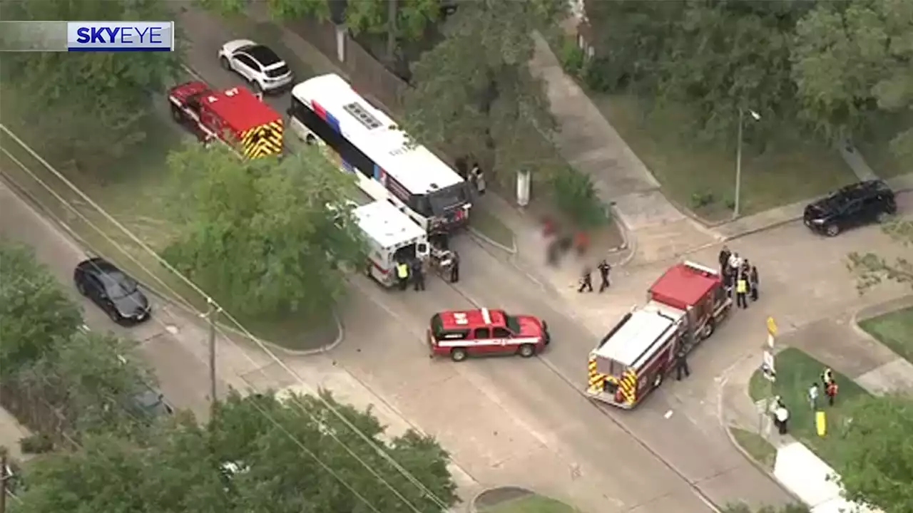 METRO bus operator among 11 hospitalized after 2 buses crash near Memorial City Mall, officials say