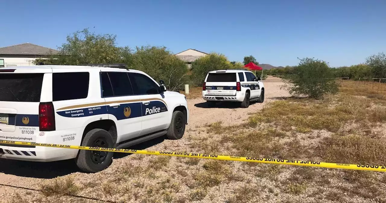 LIVE: Phoenix PD provides update on murder case of 29-year-old Lauren Heike