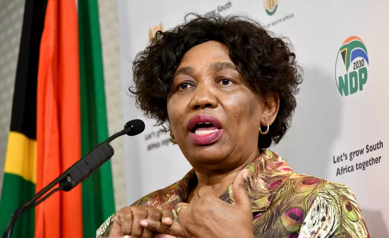 South Africa: Minister Apologises for School Feeding Scheme Chaos