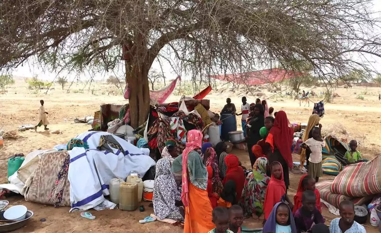 Sudan: UN Says Over 330,000 People Internally Displaced in Sudan