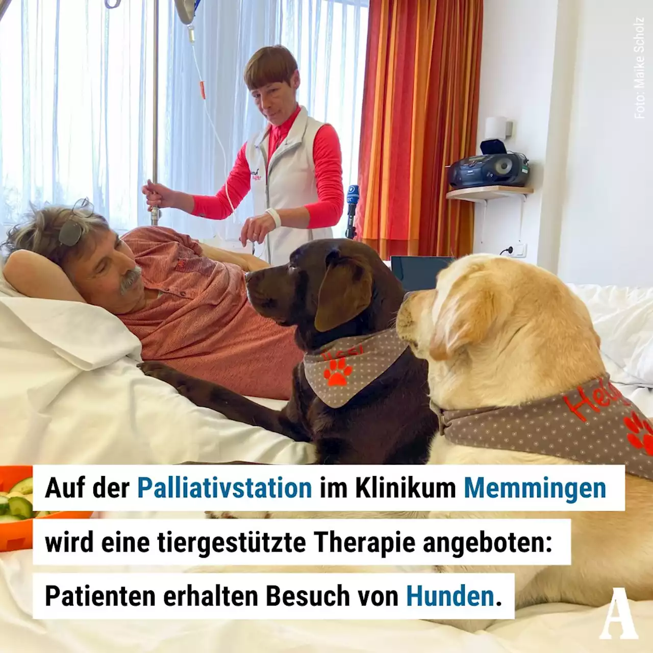 Für den Moment den Tod ausschalten: So helfen Therapiehunde auf der Palliativstation