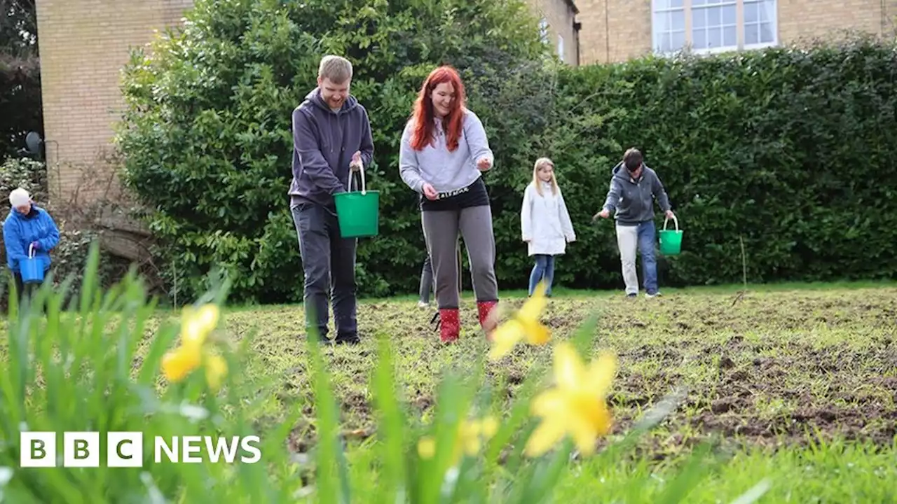 New wildflower meadow created to boost nature habitats