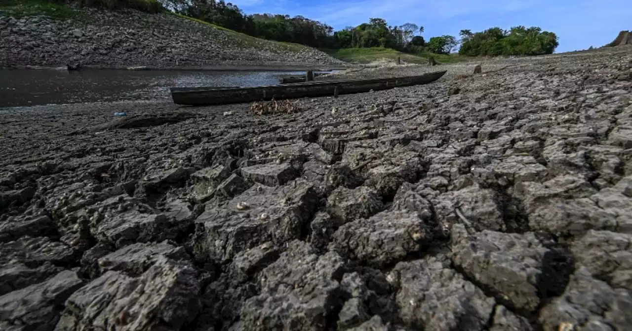 Fenómeno de El Niño: ONU prevé dos años de 'grave aumento' de temperaturas