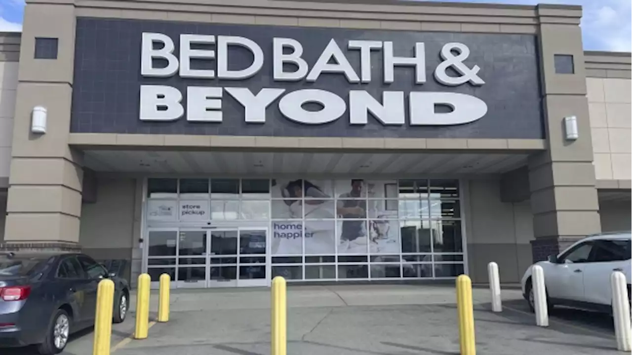 Doug Putman launching home retailer in former Bed Bath & Beyond, buybuy BABY stores - BNN Bloomberg