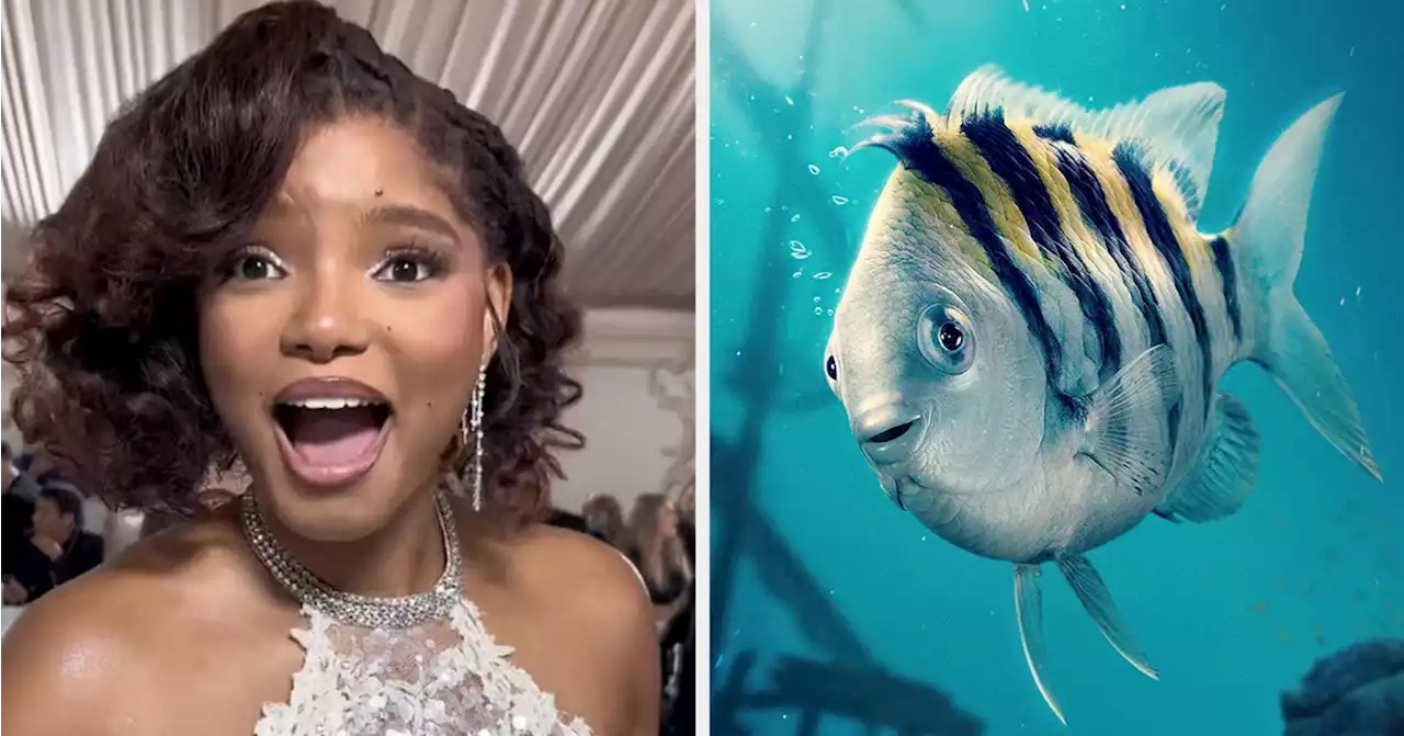 Halle Bailey Was Asked If She Would Eat Sebastian Or Flounder From 'The Little Mermaid' And The Clip Is Going Viral