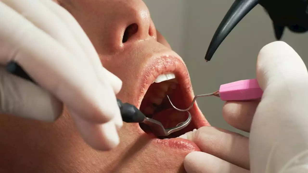 Claims that Pollsmoor had no dental services for nearly a year dismissed