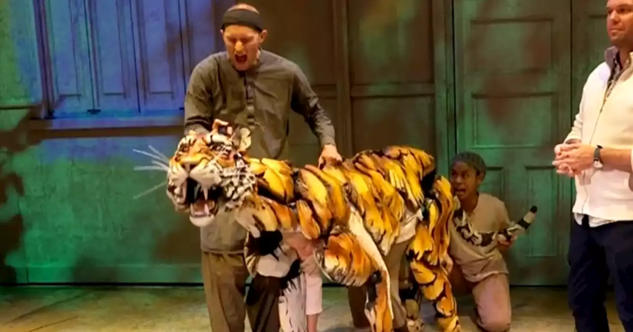 Bringing Broadway's 'Life of Pi' tiger to life