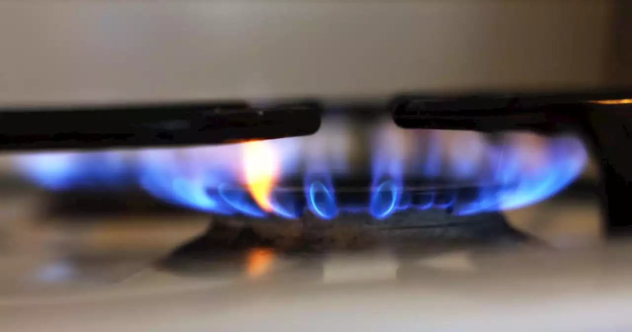 New York becomes the first state to ban gas stoves in new residential building construction