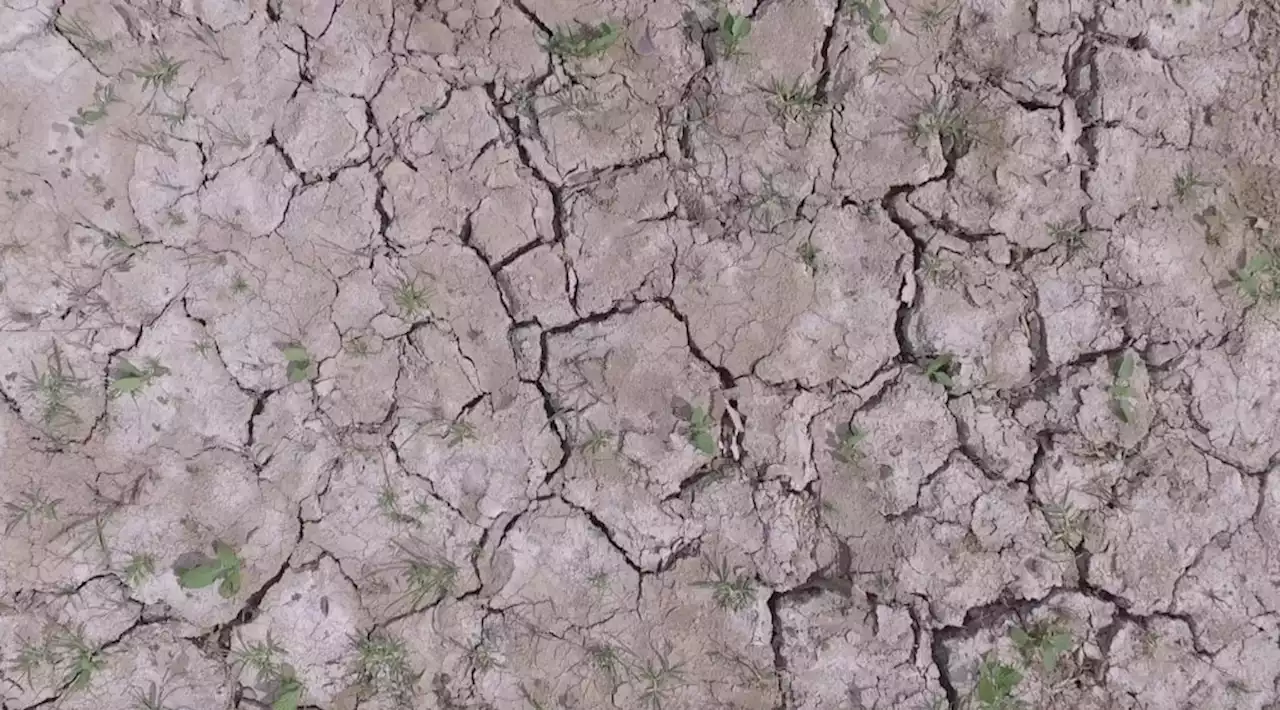 Pagasa: Severe dry spell to start in next 3 months