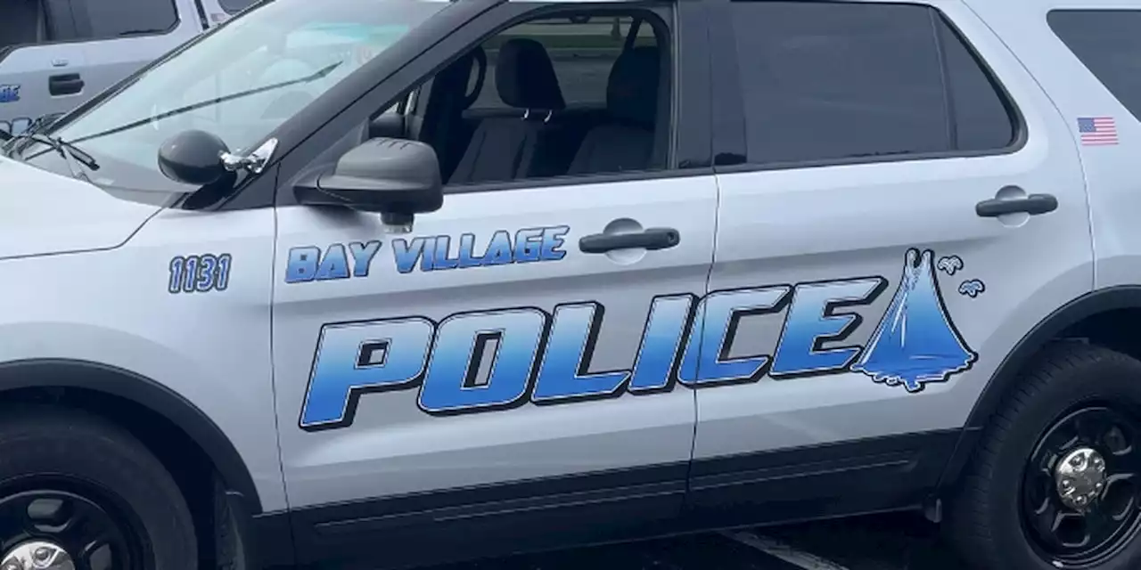 Bay Village woman loses $10,399 in computer virus scam