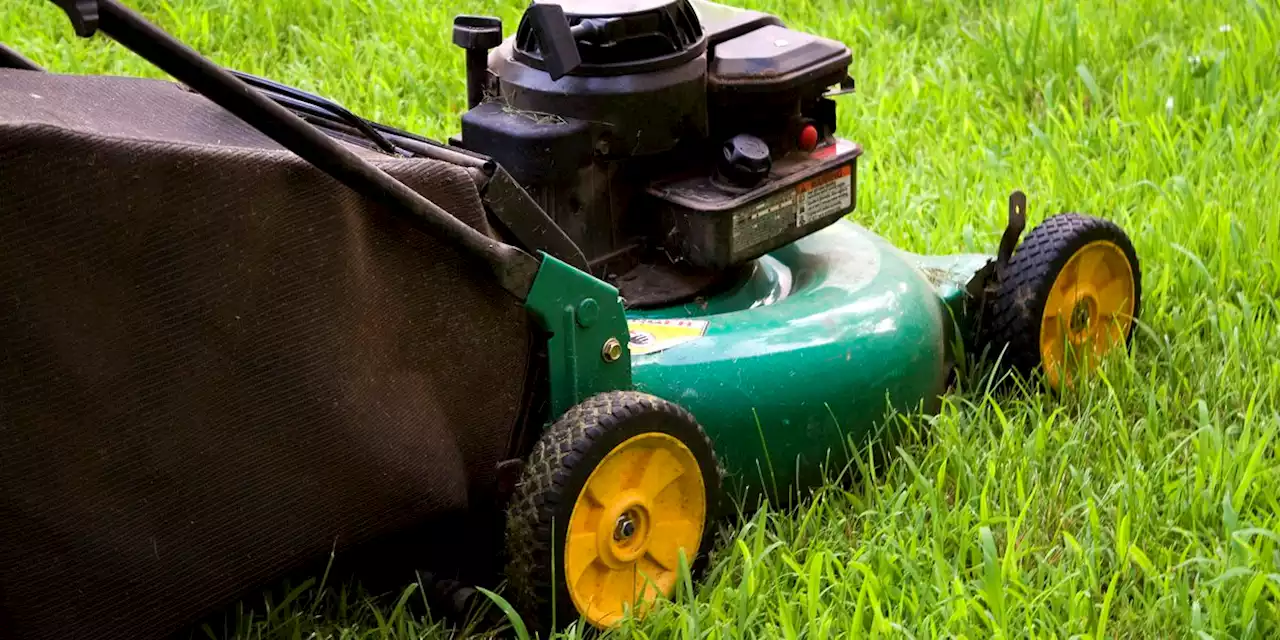 Going green: Cleveland Heights to exchange 30 residents’ gas lawnmowers for electric