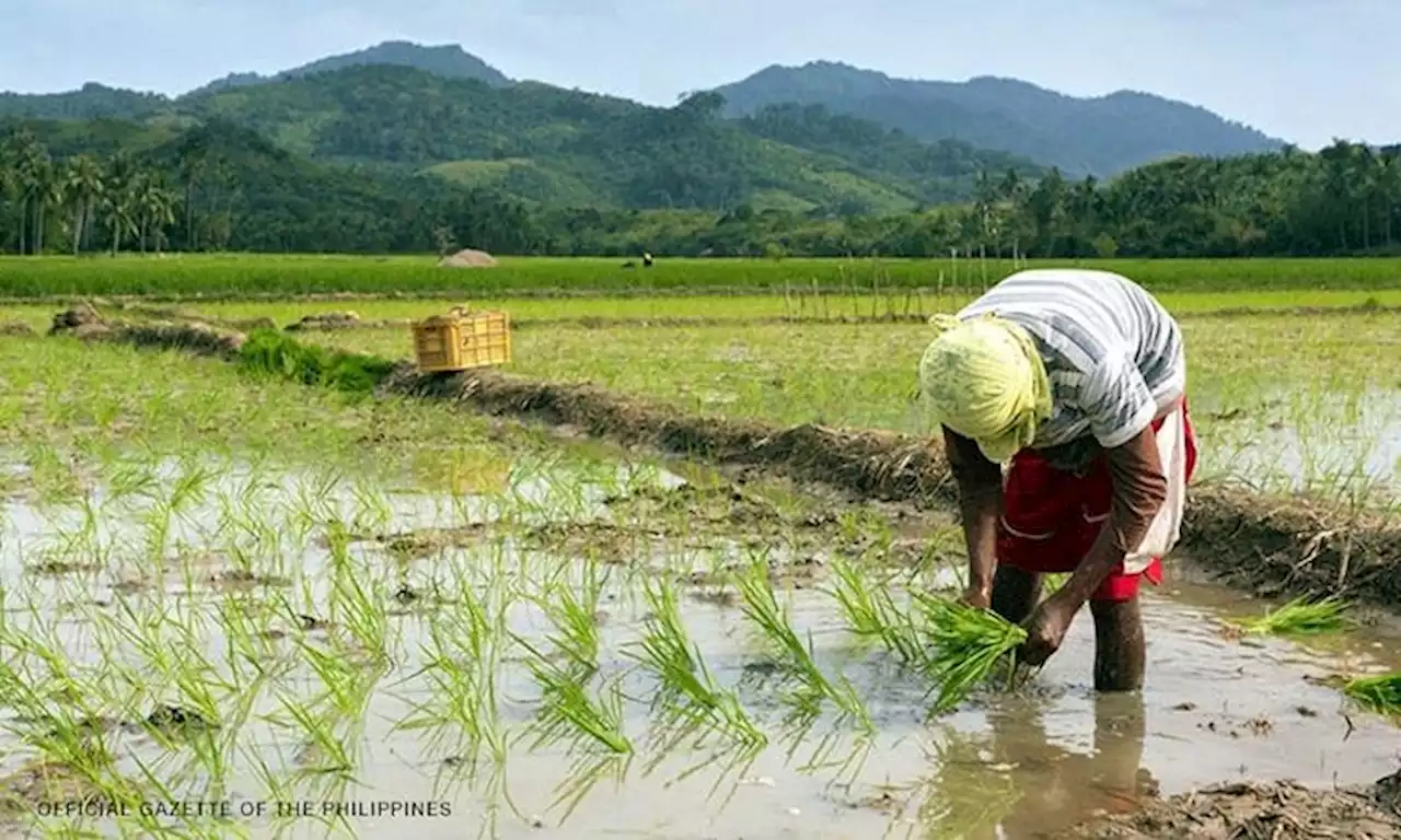 NWRB cuts water allocation for irrigation