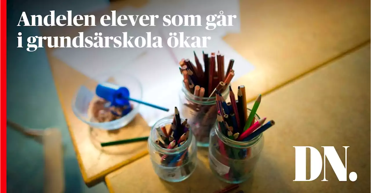 Fler elever går i grundsärskola – stor ökning i Göteborg