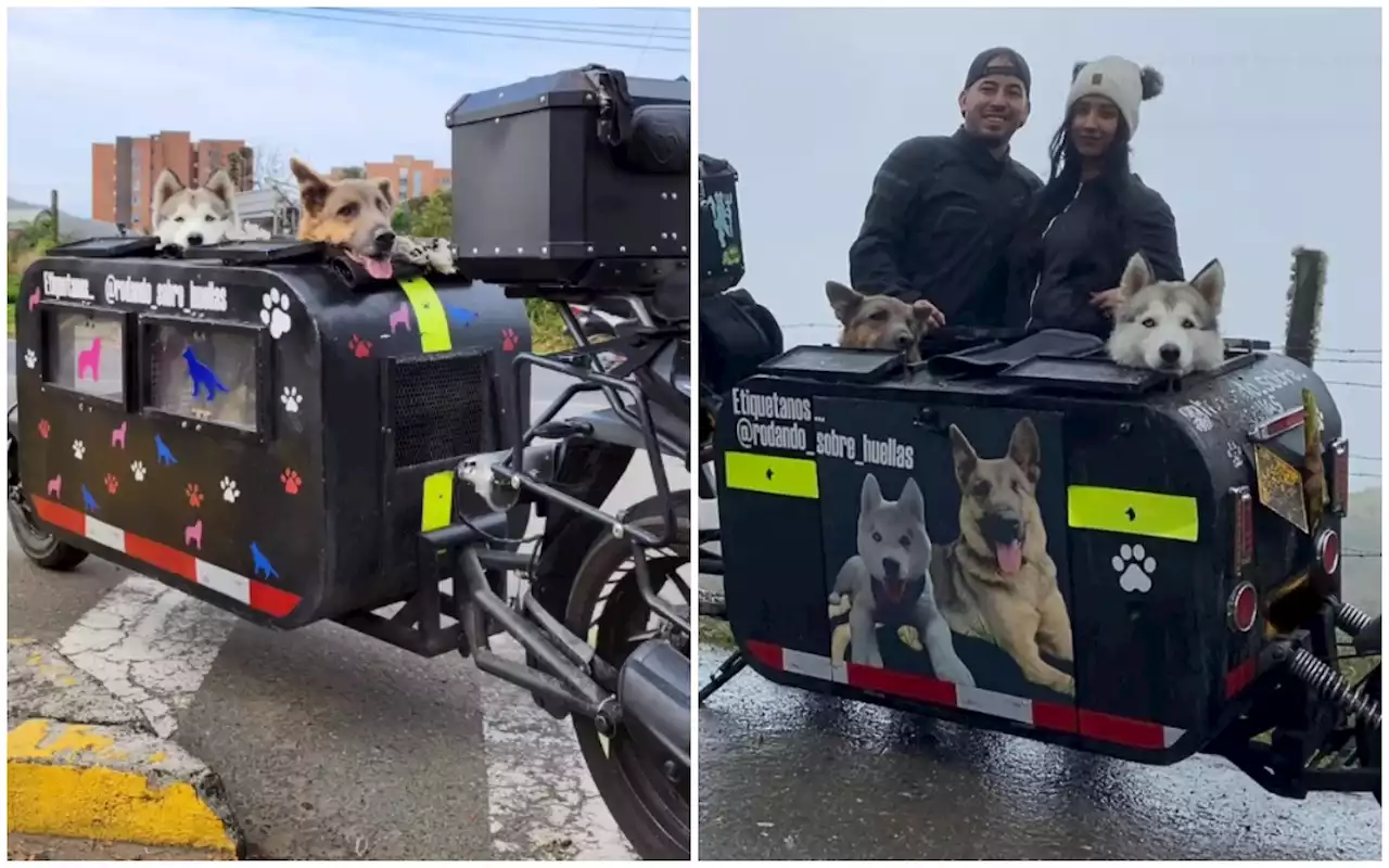 Perros moteros se toman la vías y se vuelven virales