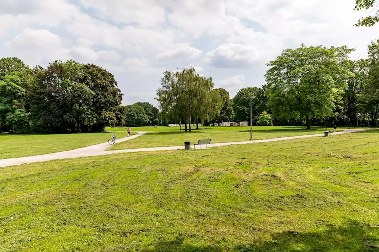 Sexualdelikt in Kölner Park: Schüler (15) in U-Haft – schlimmer Verdacht der Polizei offenbar bestätigt