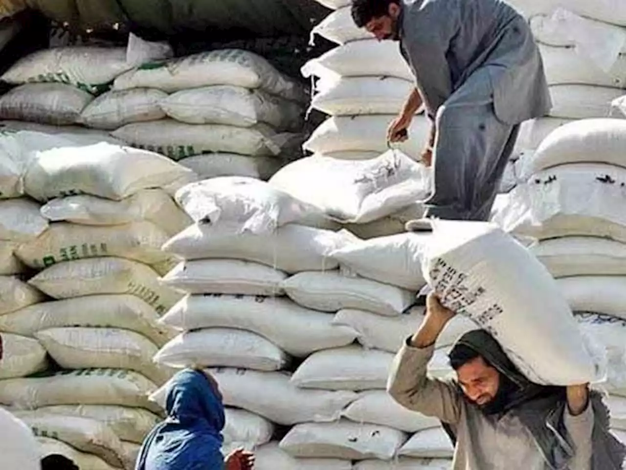 محکمہ خوراک سندھ اور فلور ملز ایسوسی ایشن کے مذاکرات ناکام - ایکسپریس اردو