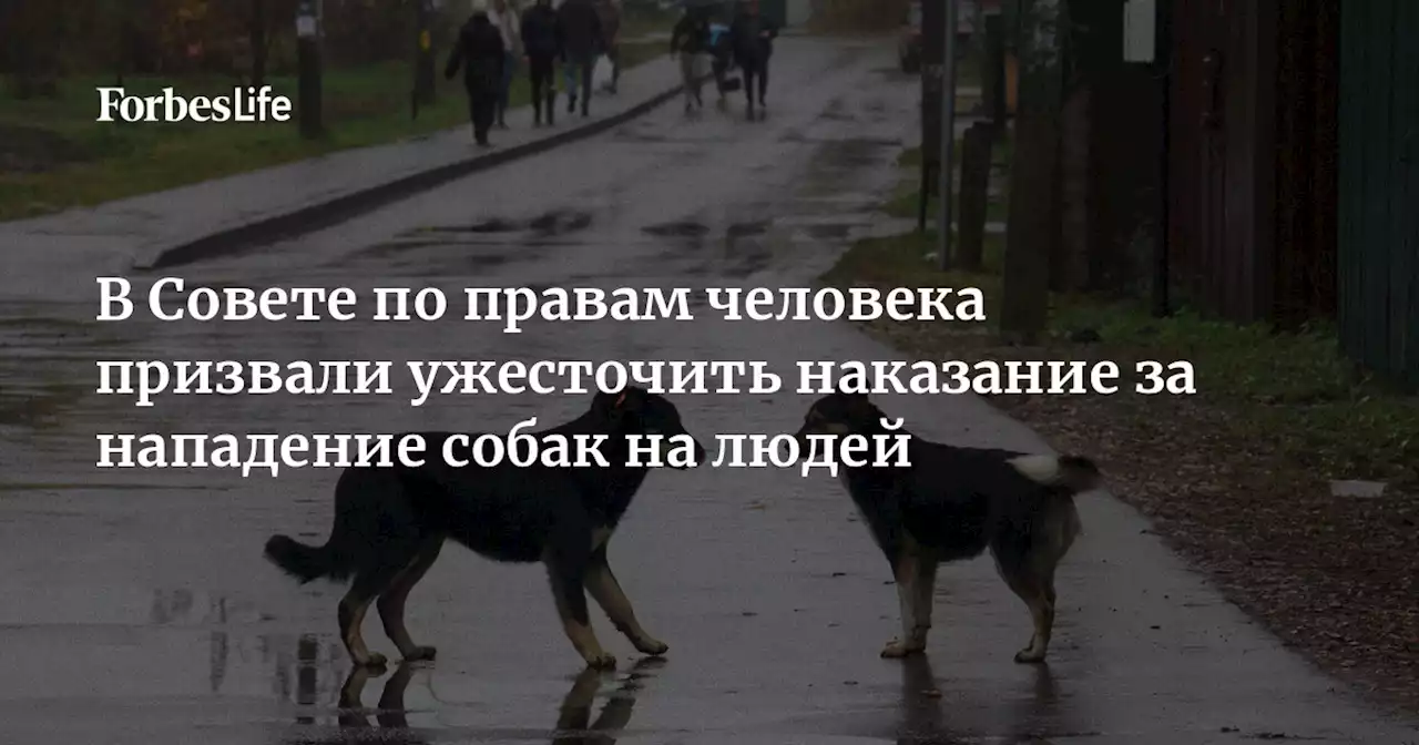 В Совете по правам человека призвали ужесточить наказание за нападение собак на людей