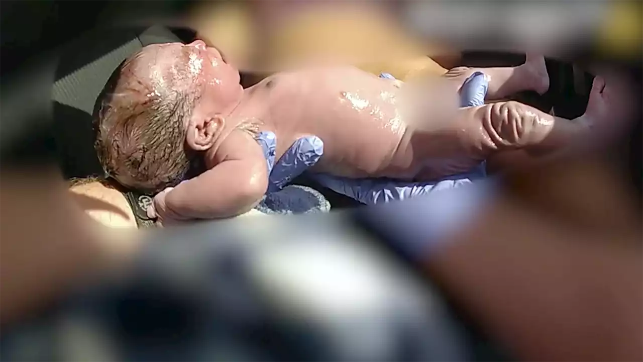 Florida deputy helps deliver baby on shoulder of highway in dramatic video