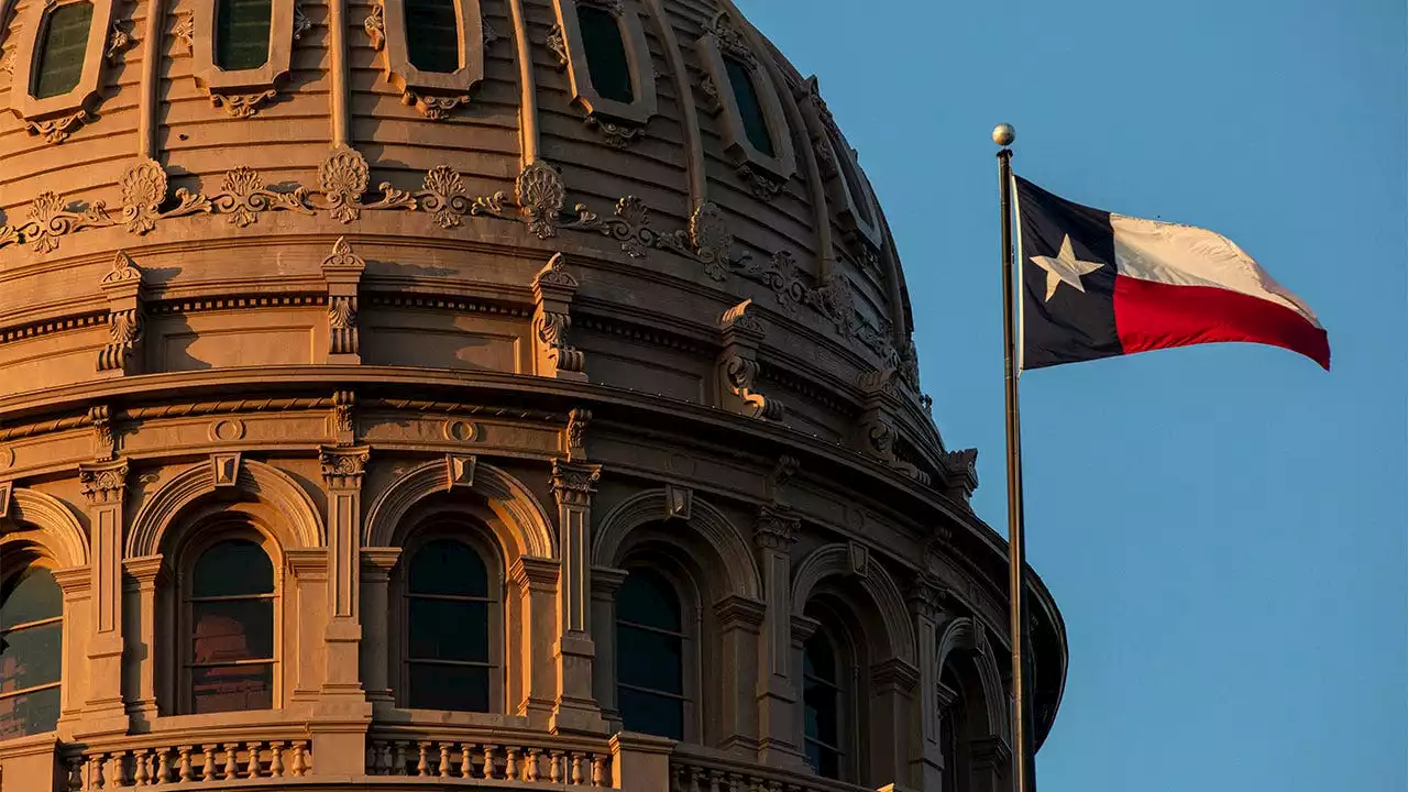 Left-wing protestors swarm Texas Capitol, shut down proceedings on bill banning child gender surgery: Reports