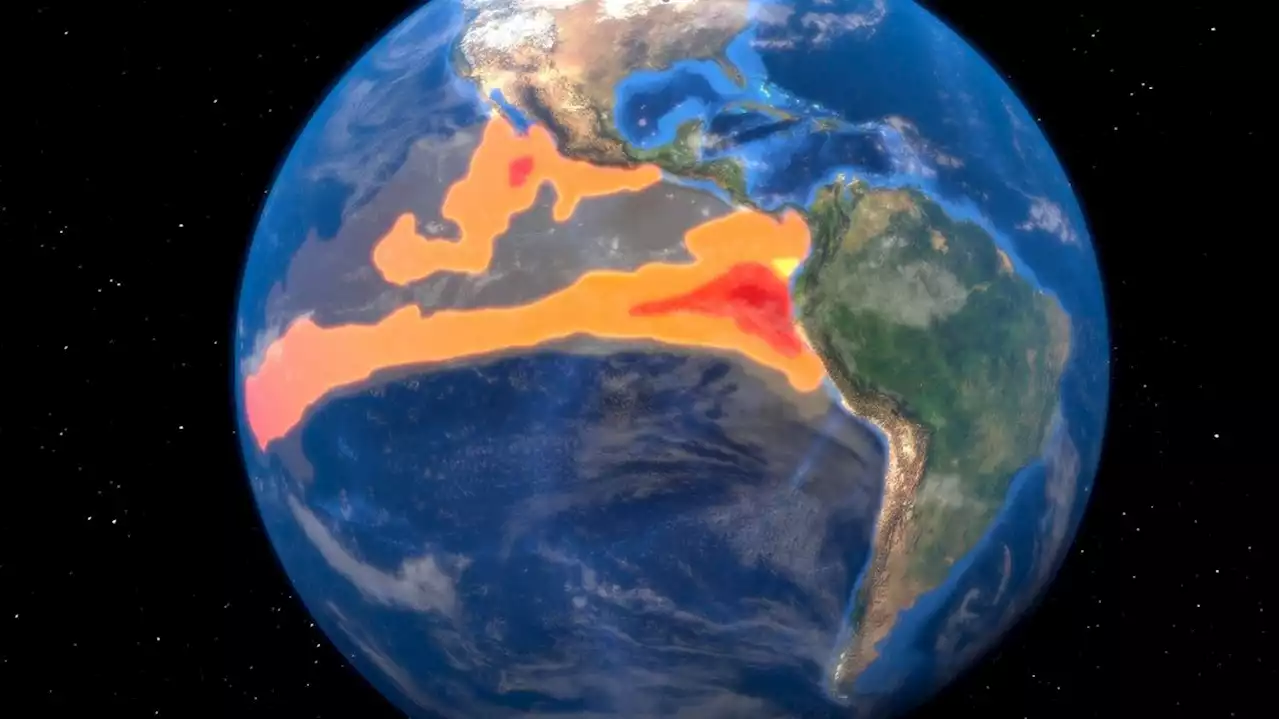 Climat : le monde doit se préparer à des températures records provoquées par El Niño, avertit l'ONU