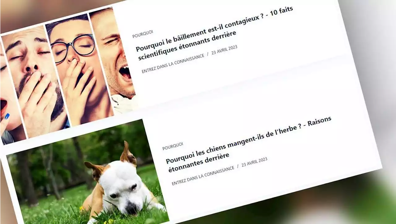 Les sites d'actualités 100% générés par l'intelligence artificielle se multiplient, y compris en français