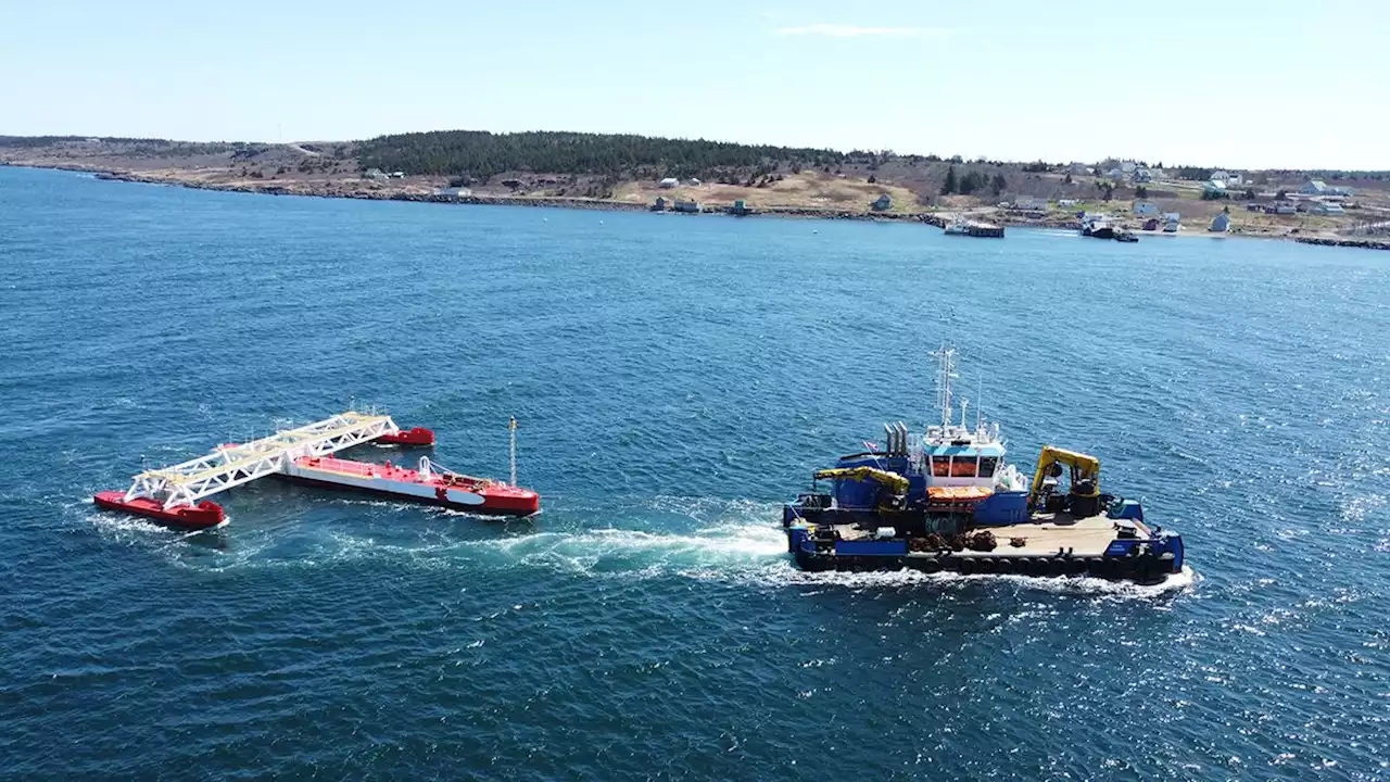 Sustainable Marine Energy bins Canadian operations, accuses federal department of blocking green project